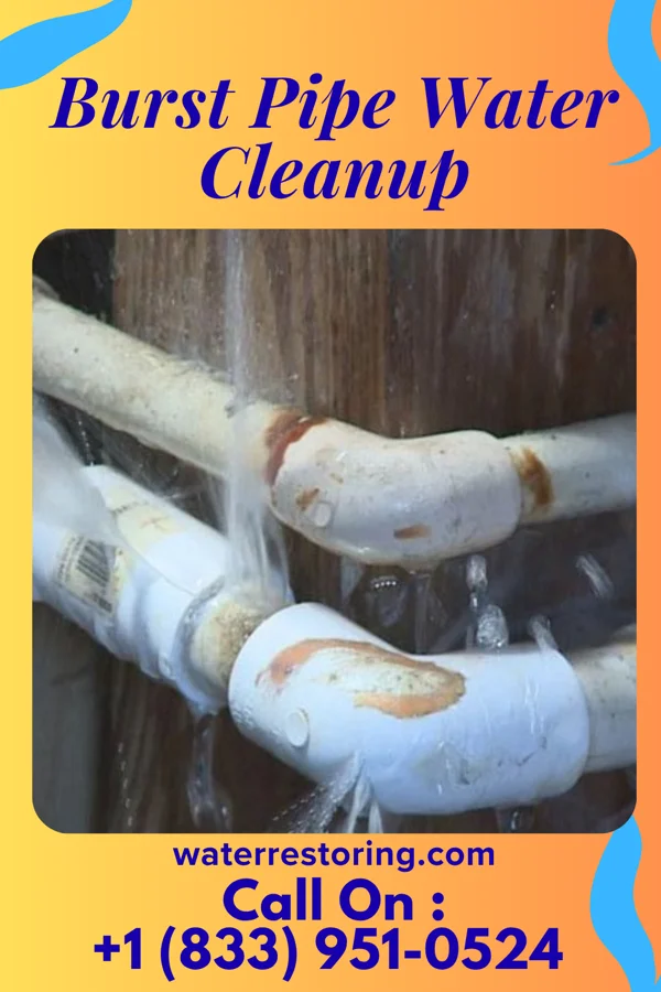 Burst Pipe Water Cleanup in Twin Lakes, VA