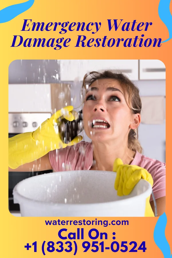 Emergency Water Damage Restoration in Twin Lakes, VA