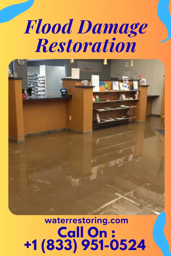 Flood Damage Restoration in Twin Lakes, VA