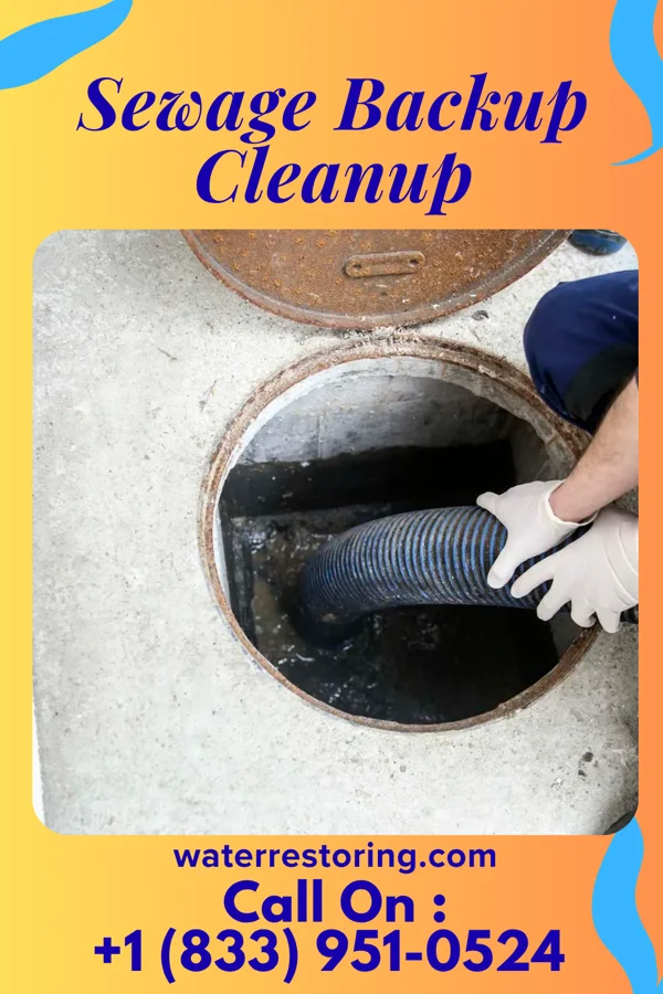Sewage Backup Cleanup in Twin Lakes, VA