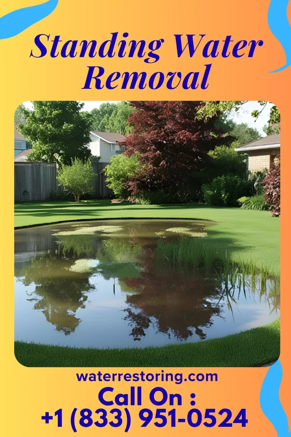 Standing Water Removal in Twin Lakes, VA